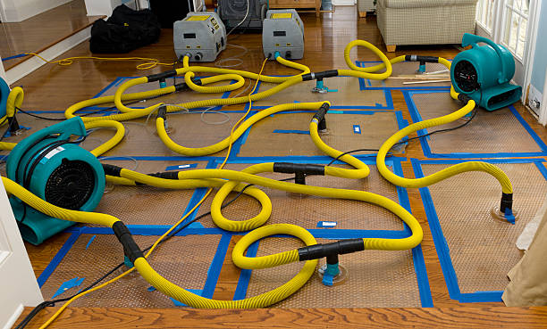 Professional Water Damage Repair technician working in Atlantic, IA